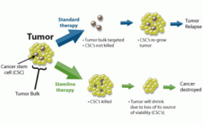 cells stem cancer treatment effect effects nitric oxide treatments